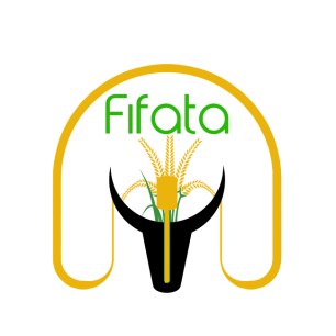 logo_fifata